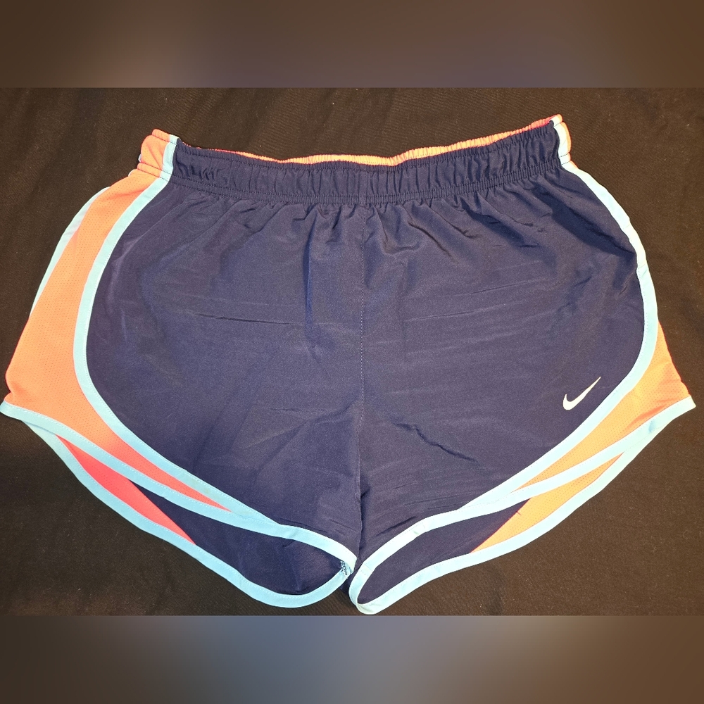 Nike Blue and Hot Pink Athletic Shorts